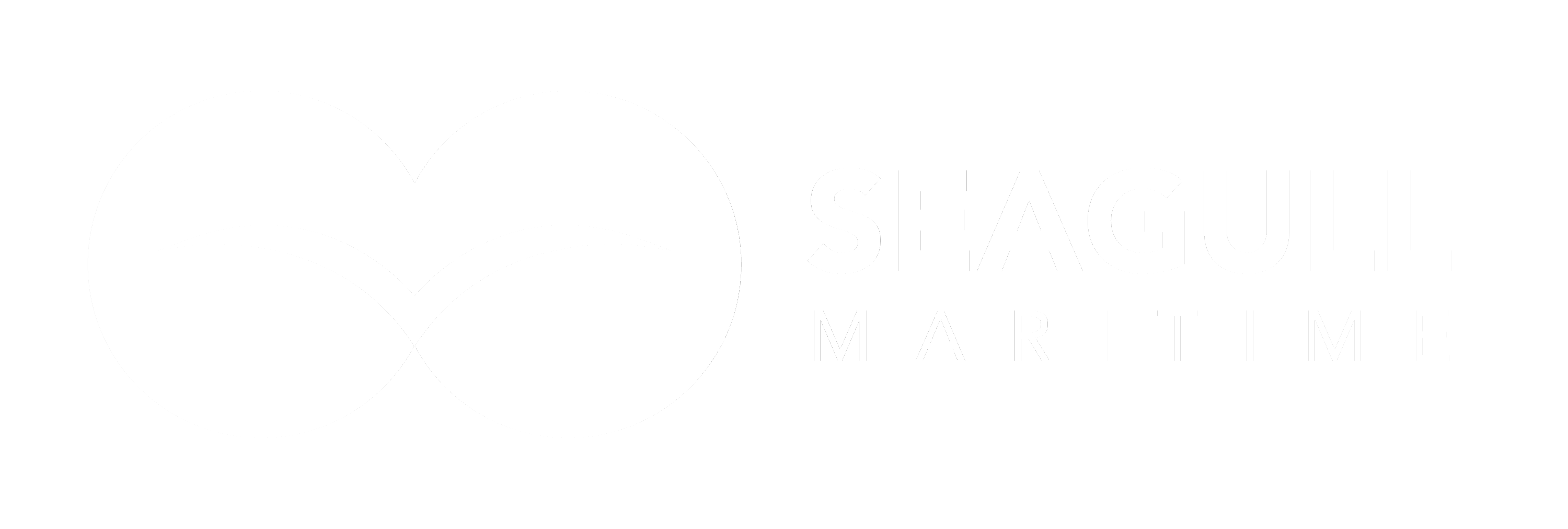 Seagull Maritime