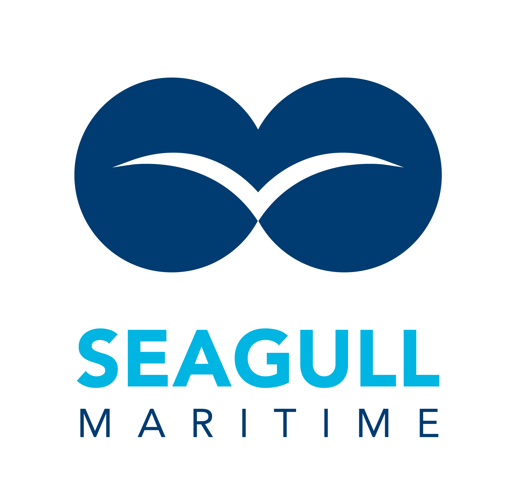 Seagull Maritime